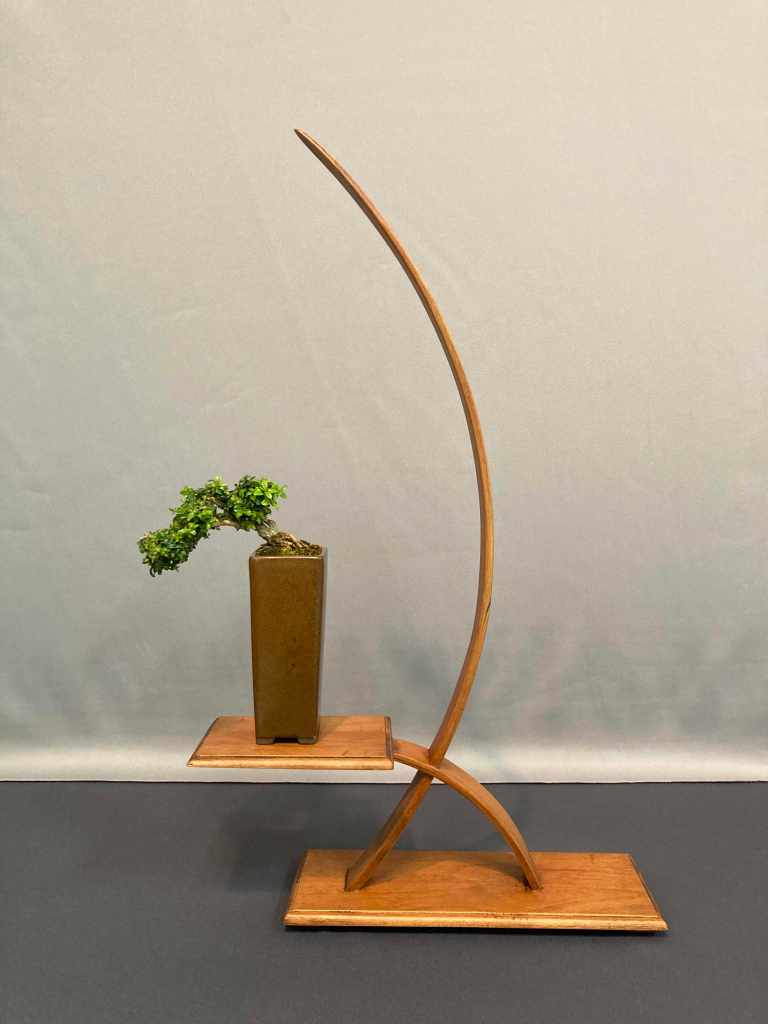 shohin bonsai on a nice display