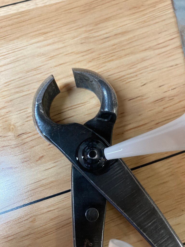 applying oil to bonsai tool hinge