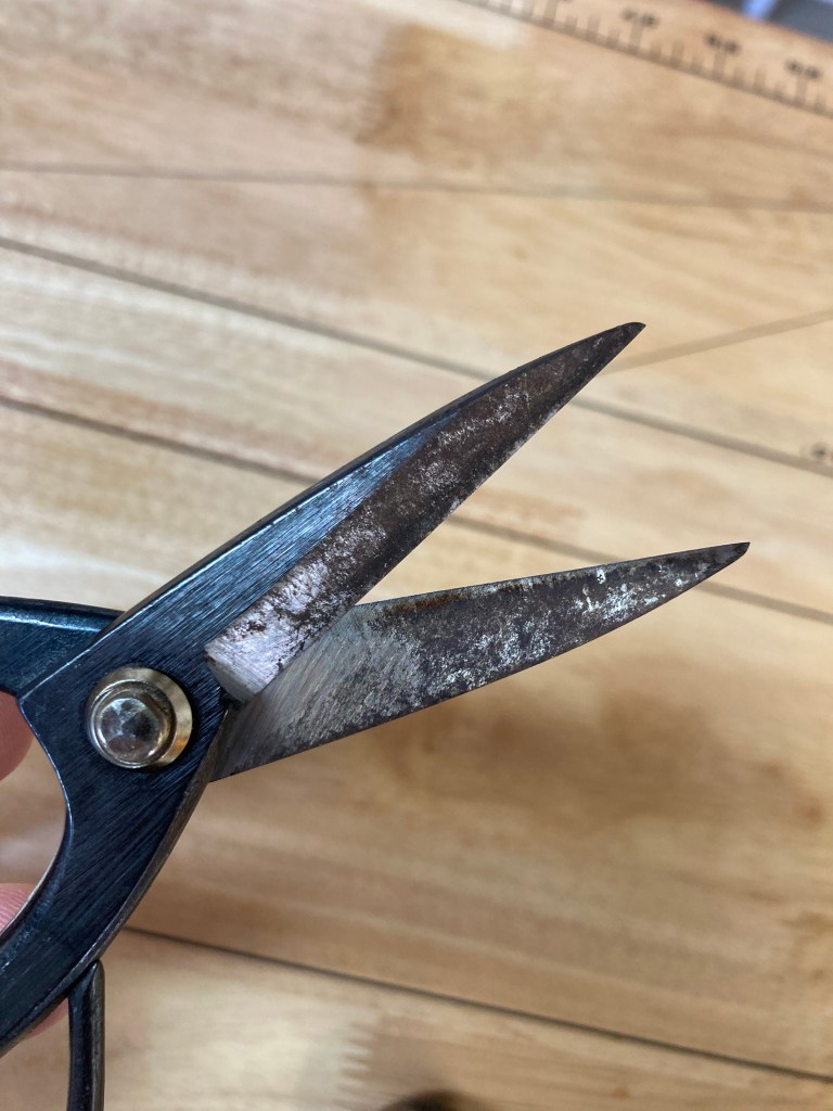 dirty rusty shears
