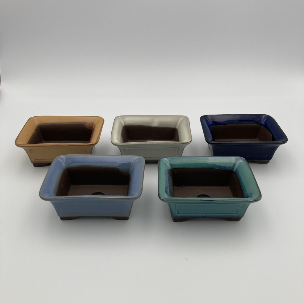 group of small bonsai pots