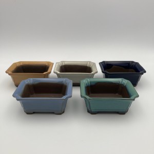 group of small bonsai pots