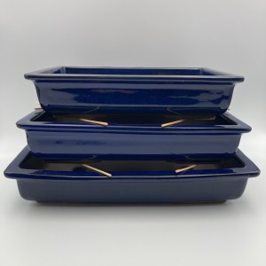 dark blue bonsai pot
