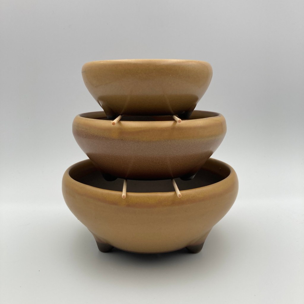 three yellow bonsai pots